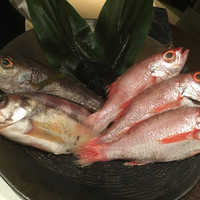 醍醐味 丸ビル - 