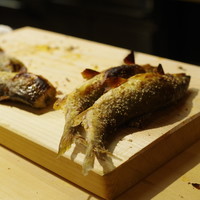 佳肴岡もと - 清滝川(きよたきがわ)の天然鮎