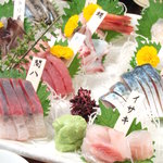 魚八商店 - 【地魚6点盛】1,980円