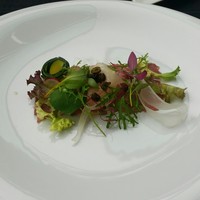 TRATTORIA CREATTA - 