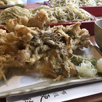 布恒更科 - 舞茸が…大きい！