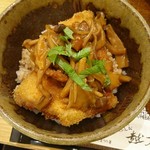 Echizen - 茸デミソースカツ丼