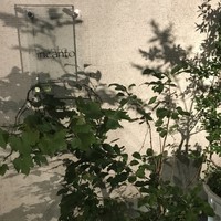 インカント - エントランス