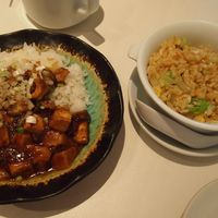 Szechwan Cuisine & Wine 四川料理 御馥 中之島ダイビル店 - 