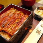 Unagi Fujita - 