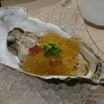 江戸前 鮨 服部 - 岩牡蠣