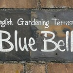 Blue Bell - 
