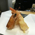 天ぷら はせ川 - 海老　レア揚げ