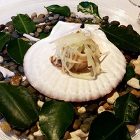 Convivio - 帆立貝とイカのタルタル