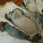 Oyster Bar ジャックポット - 北海道 厚岸産 丸エモン