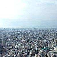 天空の庭　星のなる木 - 