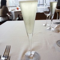 XEX TOKYO / Salvatore Cuomo Bros. - 