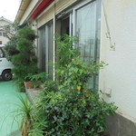 フライドチキン - 外観