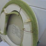 フライドチキン - ワイルドなトイレ