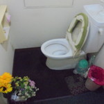 フライドチキン - ワイルドなトイレ