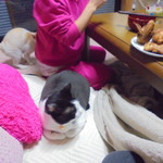 フライドチキン - フライドチキン5個1000円（1個サービス）