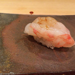 鮨菜 和喜智 - ぼたんえび