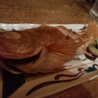 能登金沢の幸 銀座 ふる田 - 