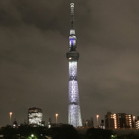 屋形船 品川 船清 - 