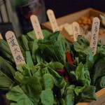 紅梅や - 朝採れ山梨県産野菜