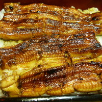川越 いちのや - 蒲焼きコースの〆の鰻重