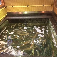 稚加榮 本店 - 