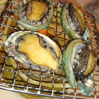 中洲鷹勝 本店 - 