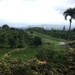 UCC Hawaii Corporation - 