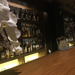 BAR 堀川 - ボトルツリー、なんとも壮観ですね