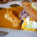 森林食堂 - 長期熟成鶏チキンカレー