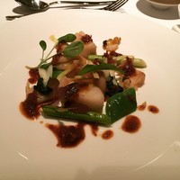 カントニーズ 燕 - 