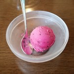 メキシコ料理 ロシータ - 食後に「カシスシャーベット」