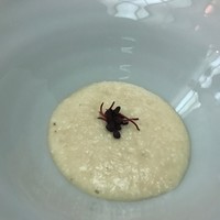 博多水炊きと焼き鳥 鳥善 銀座店 - 博多華味鳥の炙り焼き（山芋たれ）