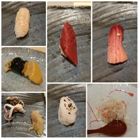 鮨 うら山 本店 - 