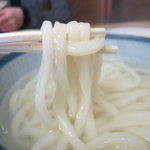 うどん処 大浜 - 釜揚げの麺のアップ