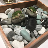 ルカンケ - 