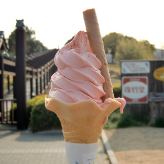 吉備サービスエリア(下り線)スナックコーナー_0