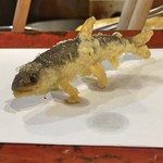 江戸前晋作 - 稚鮎（アップ）