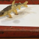 江戸前晋作 - 稚鮎