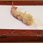 江戸前晋作 - 車海老（レア）