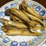 せっちゃんのエクスペリヤンスの家 - 