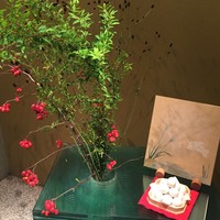 伊豆の旬 やんも 丸の内店 - 可愛い