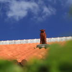 Ishigakiya - 屋根の上にはシーサーが見守っています