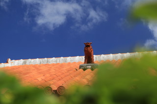 Ishigakiya - 屋根の上にはシーサーが見守っています