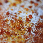 い志い - 生地のアップ②