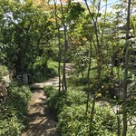 中島大祥堂 - お庭