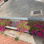 Ristorante Perla Blu - 