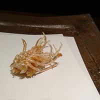 すぎ村 - 