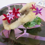 プレゼンテ スギ - ガストロパックで調理した鱧、胡瓜のソース、ペンタス