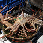 いけ活かに 竹林茶屋 - 活け蟹